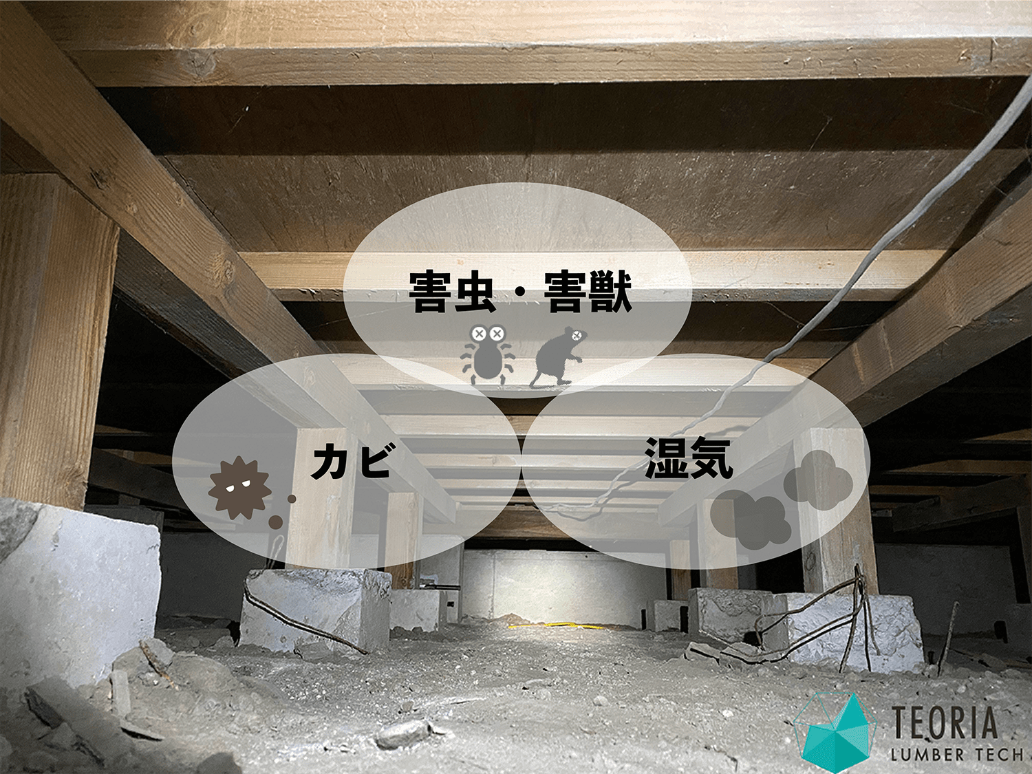 床下の脅威３つ、シロアリ、湿気、カビ
