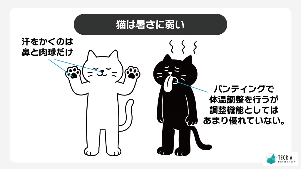 猫は暑さに弱い