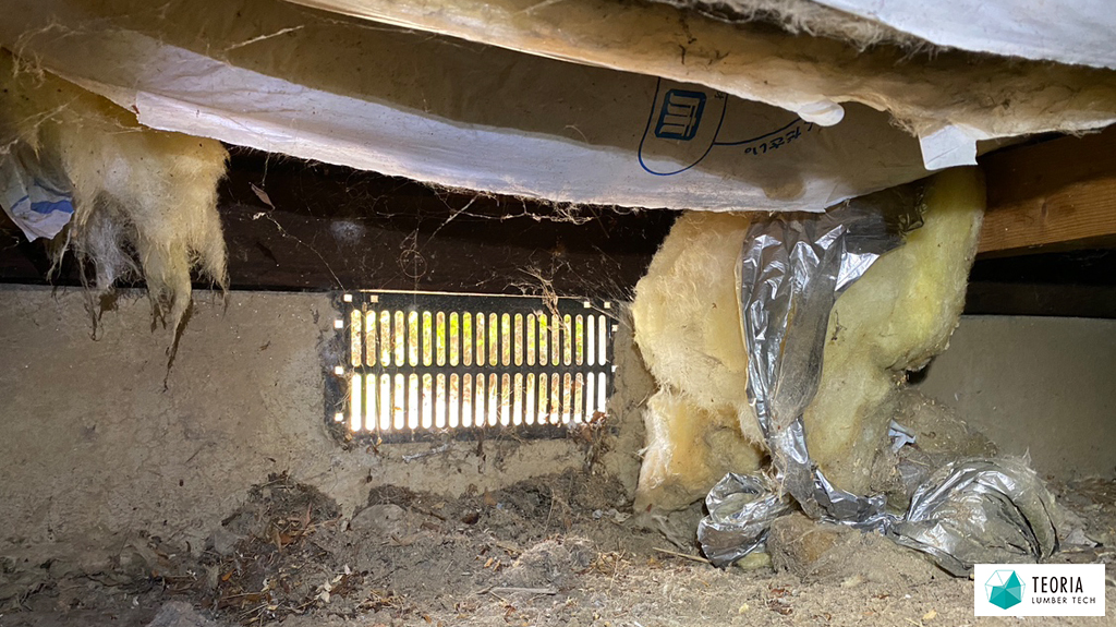 床下換気口と劣化して落ちた断熱材